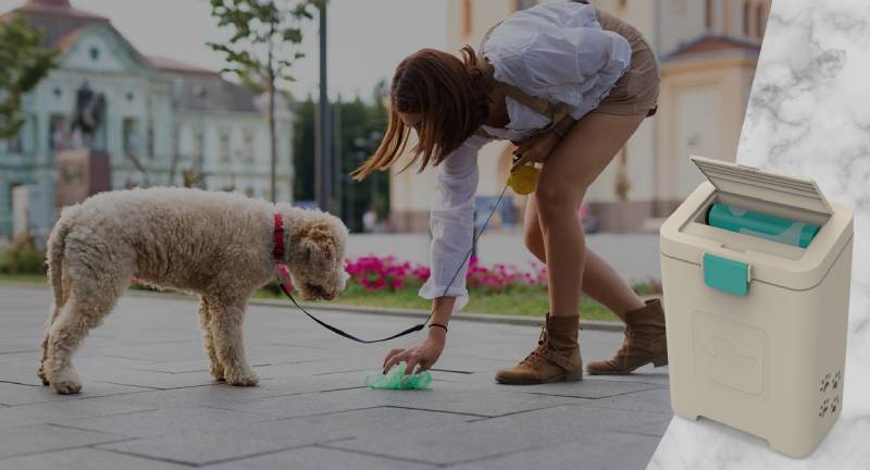 dog poop disposal system
