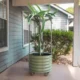 raised garden beds