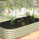 raised garden beds