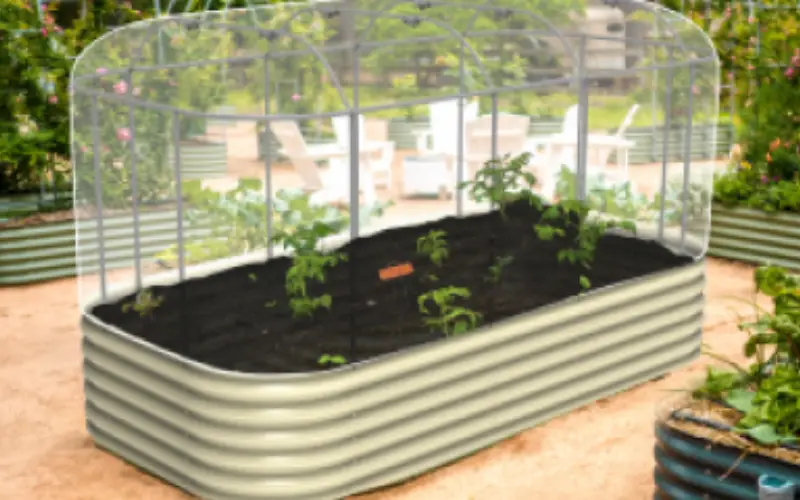 raised garden beds