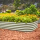 raised garden boxes
