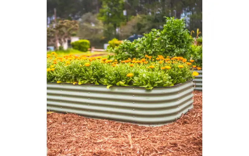 Experience The Joy Of Gardening With Raised Garden Boxes