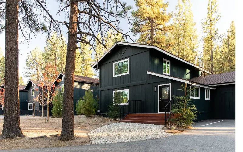 unique big bear stay