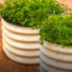 raised beds for sale