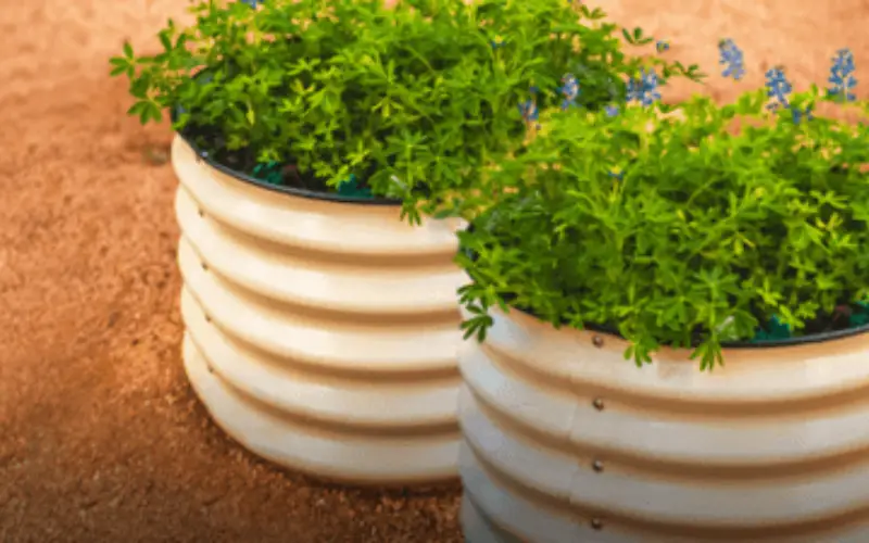 raised beds for sale