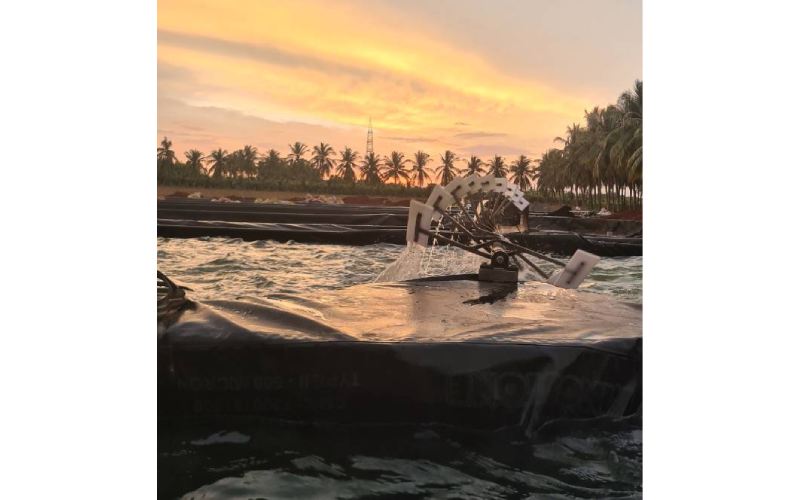 Optimize Your Farm Output with Spirulina Farming Solution