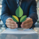 Hands holding a green plant over business documents, symbolizing environmental compliance and corporate responsibility in India for EPR certification.